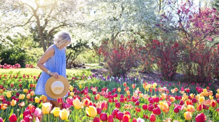 Transforming Your Outdoor Oasis