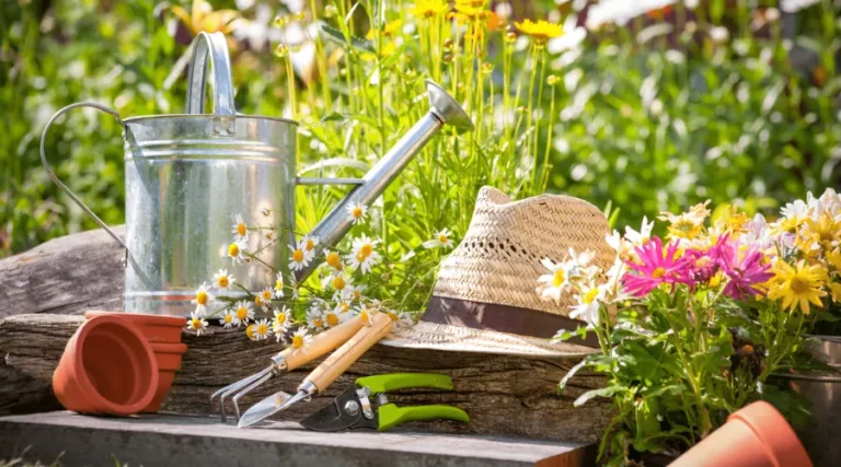 tools for the garden