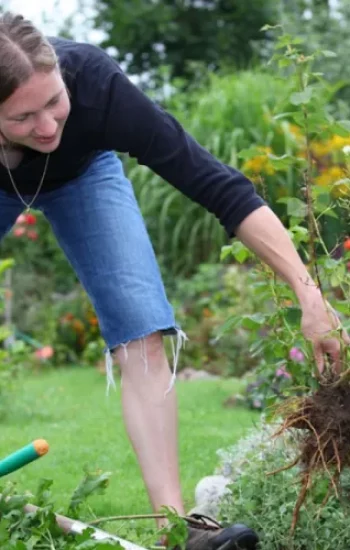 Doe-het-zelf versus professional wanneer moet u een tuinexpert inhuren