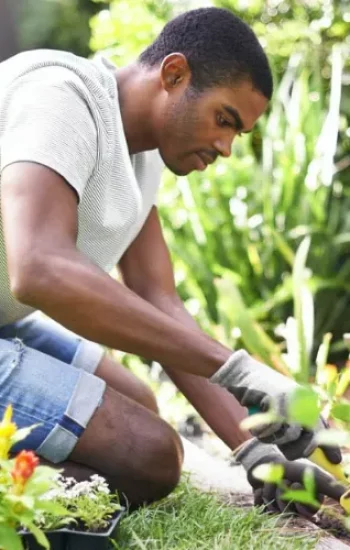 Het kiezen van de juiste tuinmeubelen