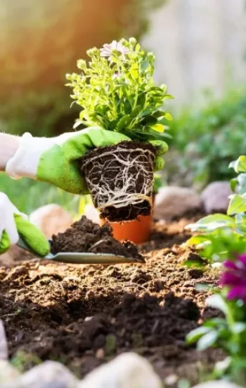 Ontdek het potentieel van uw tuin