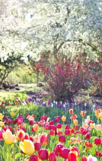 Transforming Your Outdoor Oasis