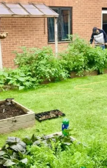 Plantselectie en plaatsing